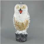 Owl YS-A012