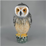 Owl YS-A013